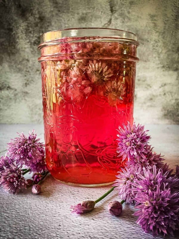 Mason jar full of purple infused vinegar.