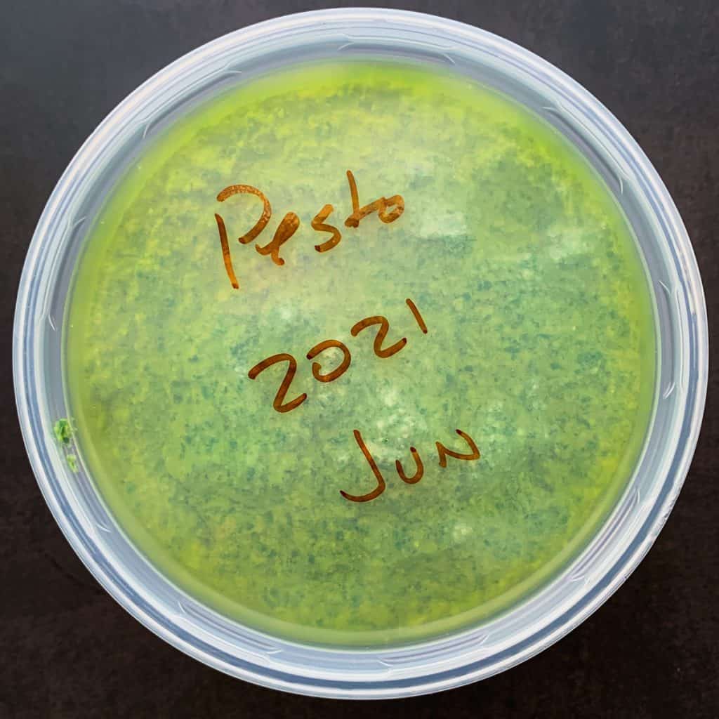Pesto stored in plastic deli container for the freezer.
