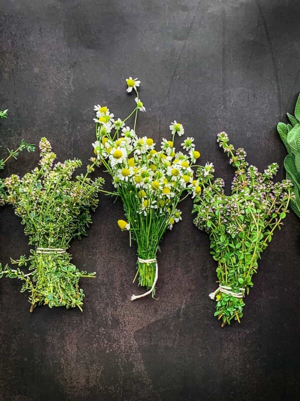 bundles of herbs