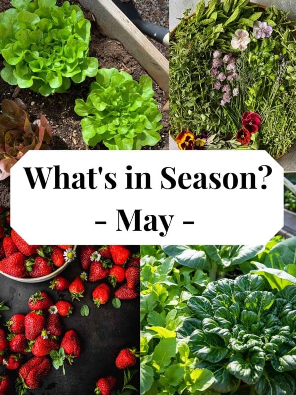 Lettuce, herbs, strawberries and Asian greens as seasonal produce for May.