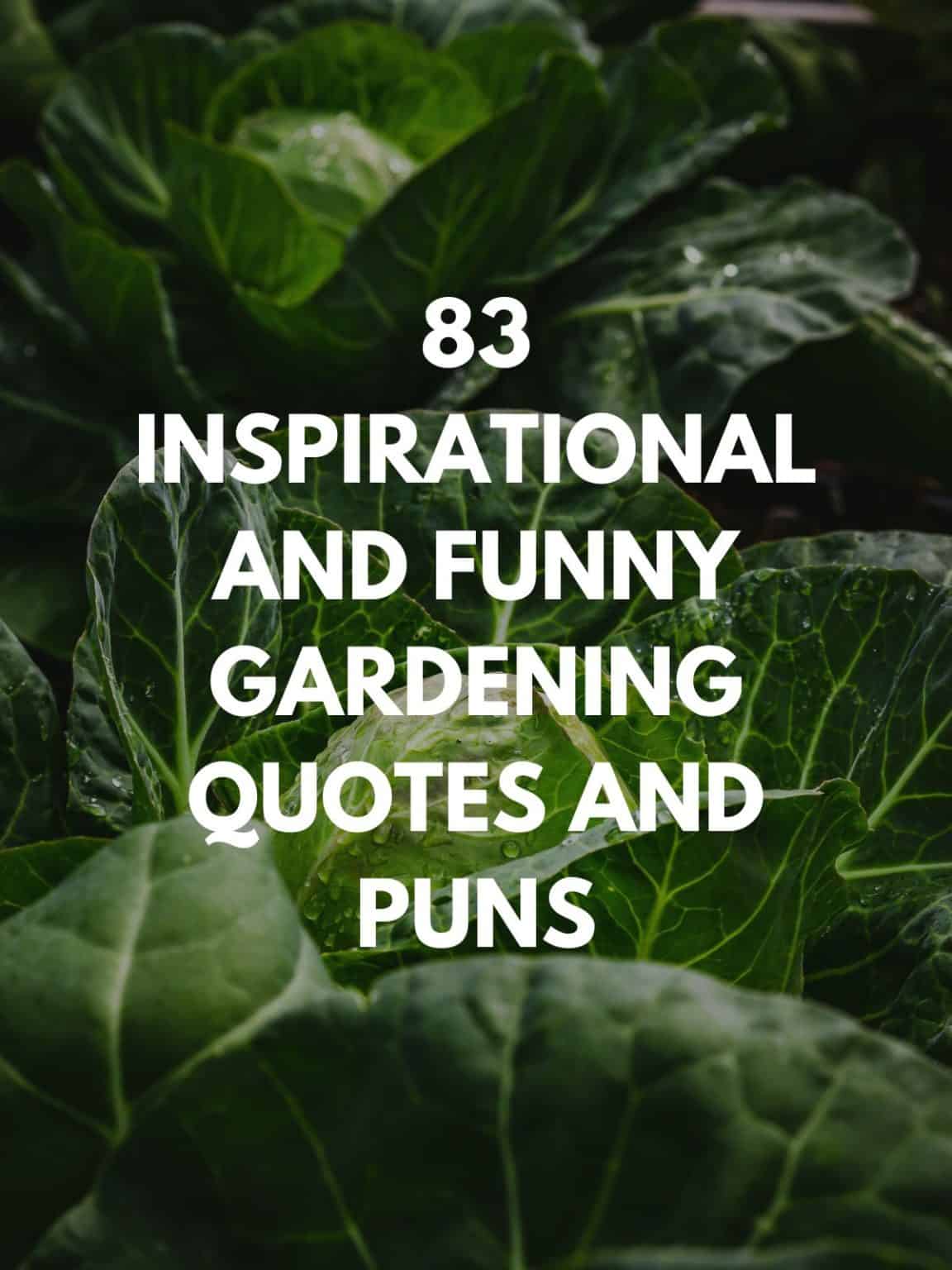 83 Inspirational and Funny Gardening Quotes and Puns Urban Farm and