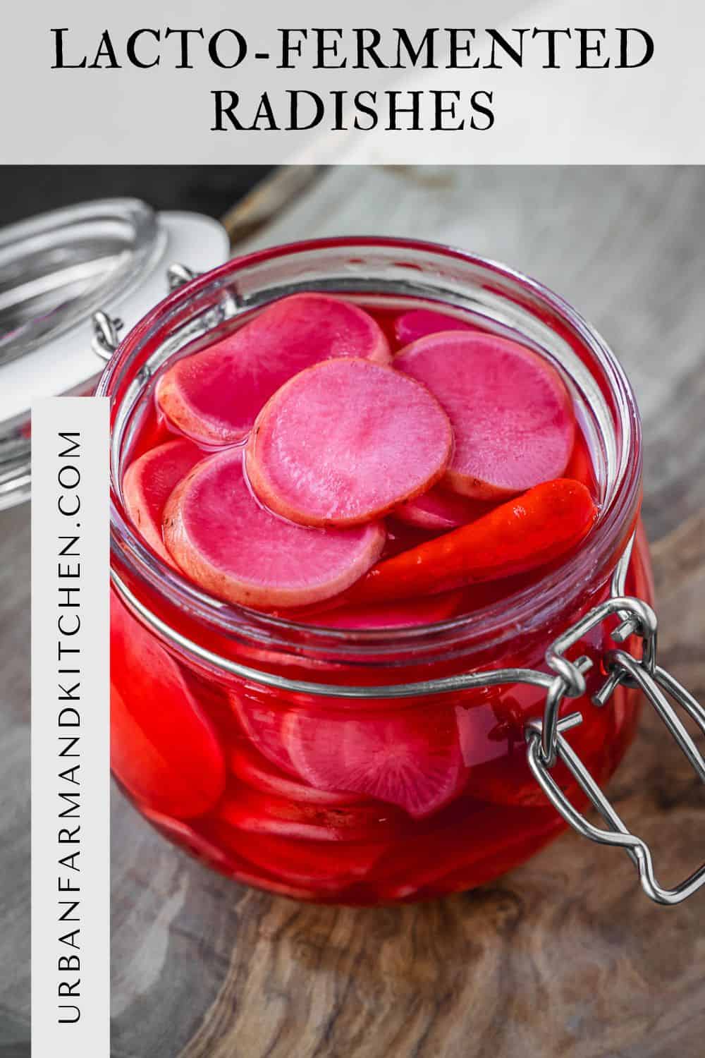 Fermented Raddish Fermented Radishes (Lacto-fermented radish slices) - Urban Farm and Kitchen
