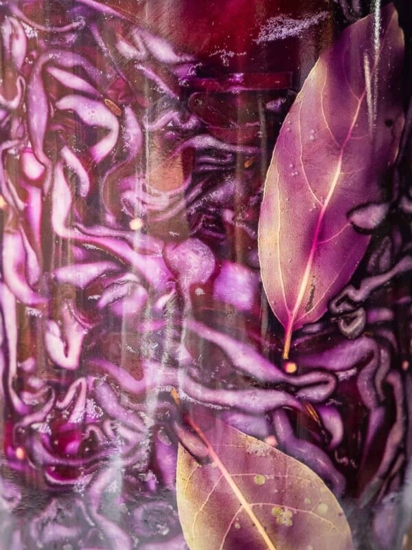 Mason jar with red cabbage sauerkraut.