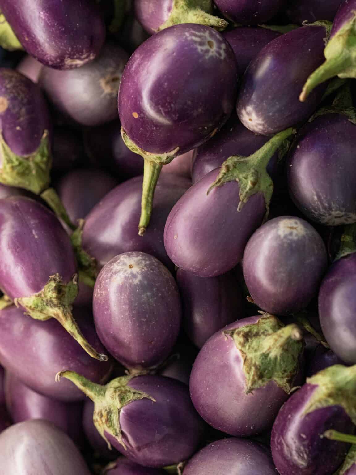 13 Best Eggplant Varieties to Grow [with Recipes & Photos] Urban Farm