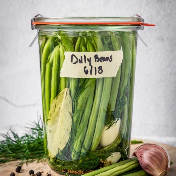 Sealed and labeled jar of dilly beans on a board with dill, peppercorns, mustard seeds, beans and garlic around the base.