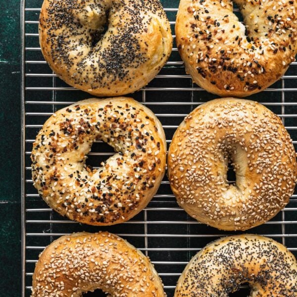 New York bagels on a cooling rack.