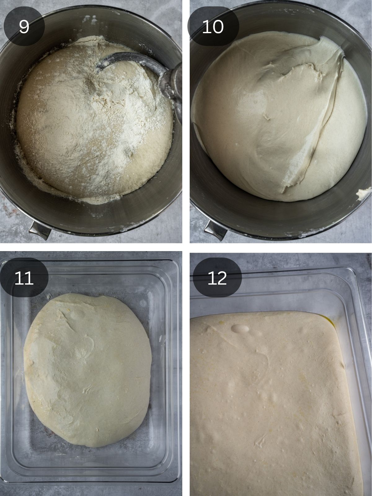 Recipe step showing the addition flour and the final dough texture as well as the final rise before shaping.