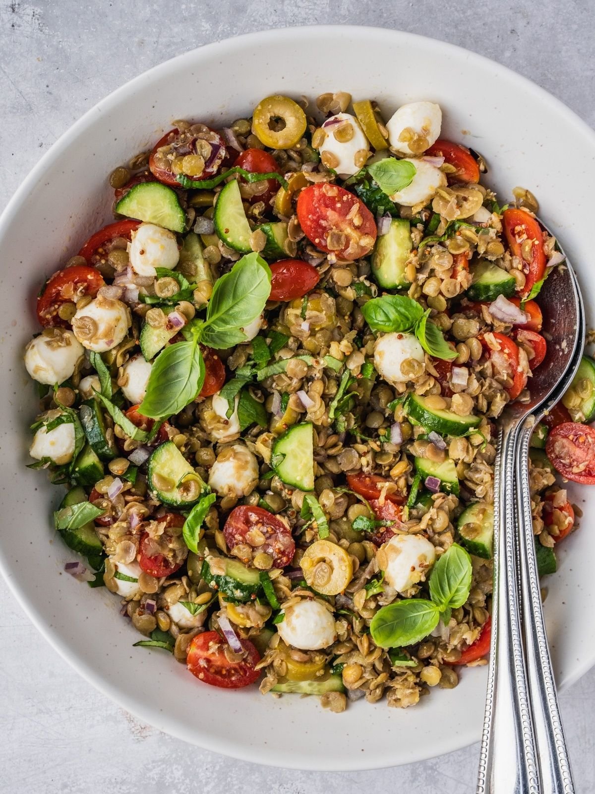 Mediterranean Lentil Salad with cooked green lentils, cherry tomatoes, cucumbers, mozzarella balls and fresh basil in a large serving bowl.