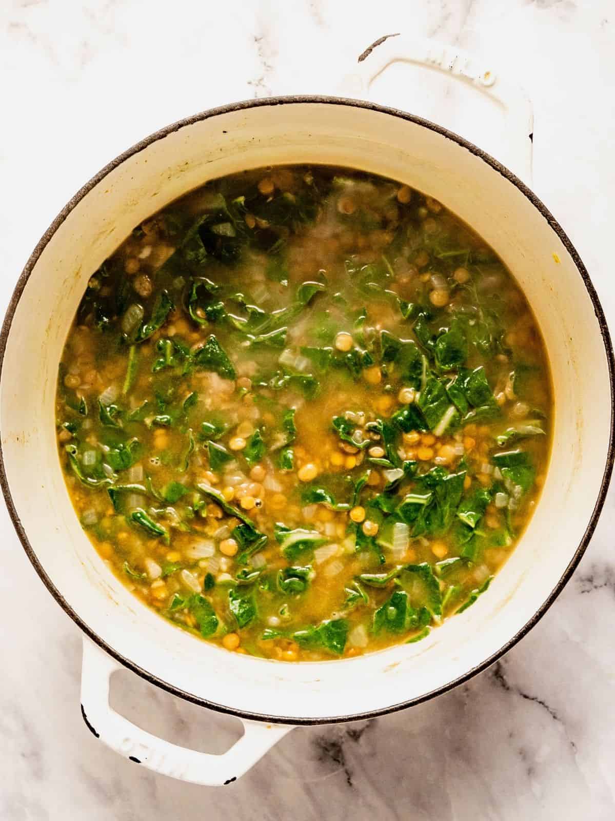 Soup pot with lentils, stock, chard and seasoning.