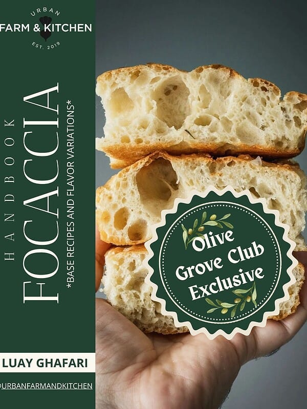 Cover of the focaccia eBook showing slices of focaccia.