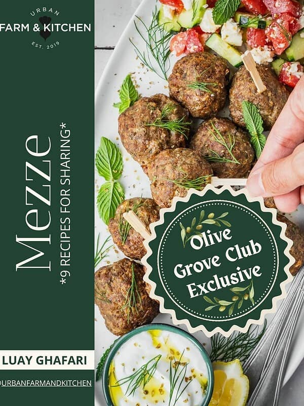 Cover of the mezze eBook showing meatballs.