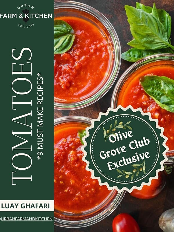 Cover of the tomato eBook showing tomato sauce in jars.