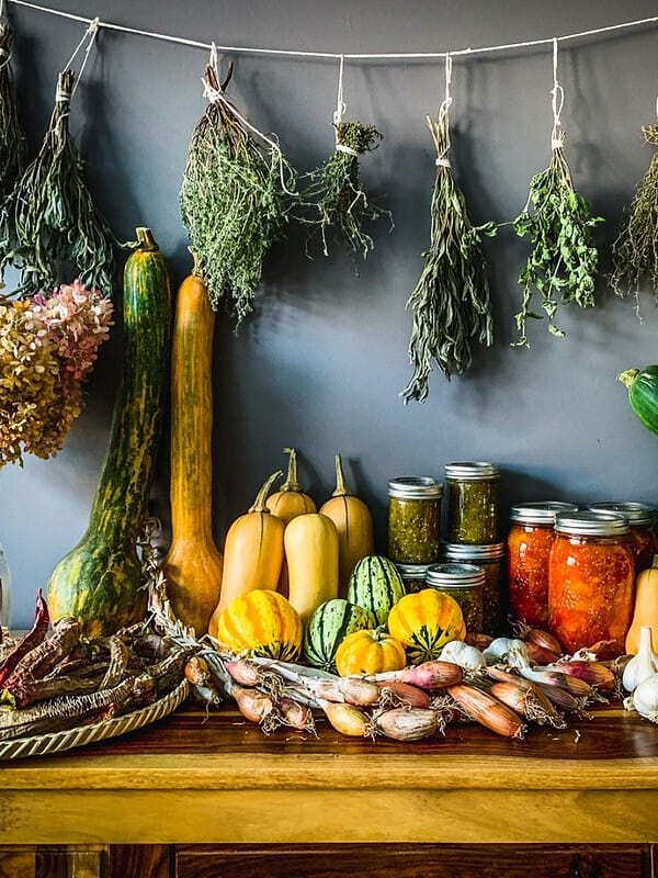 Harvest table with hanging herbs, jarred tomatoes, salsa, and gourds.