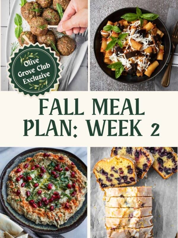Collage of recipe images including Greek meatballs, pasta with eggplant and tomato, eggplant dip and lemon blueberry loaf.