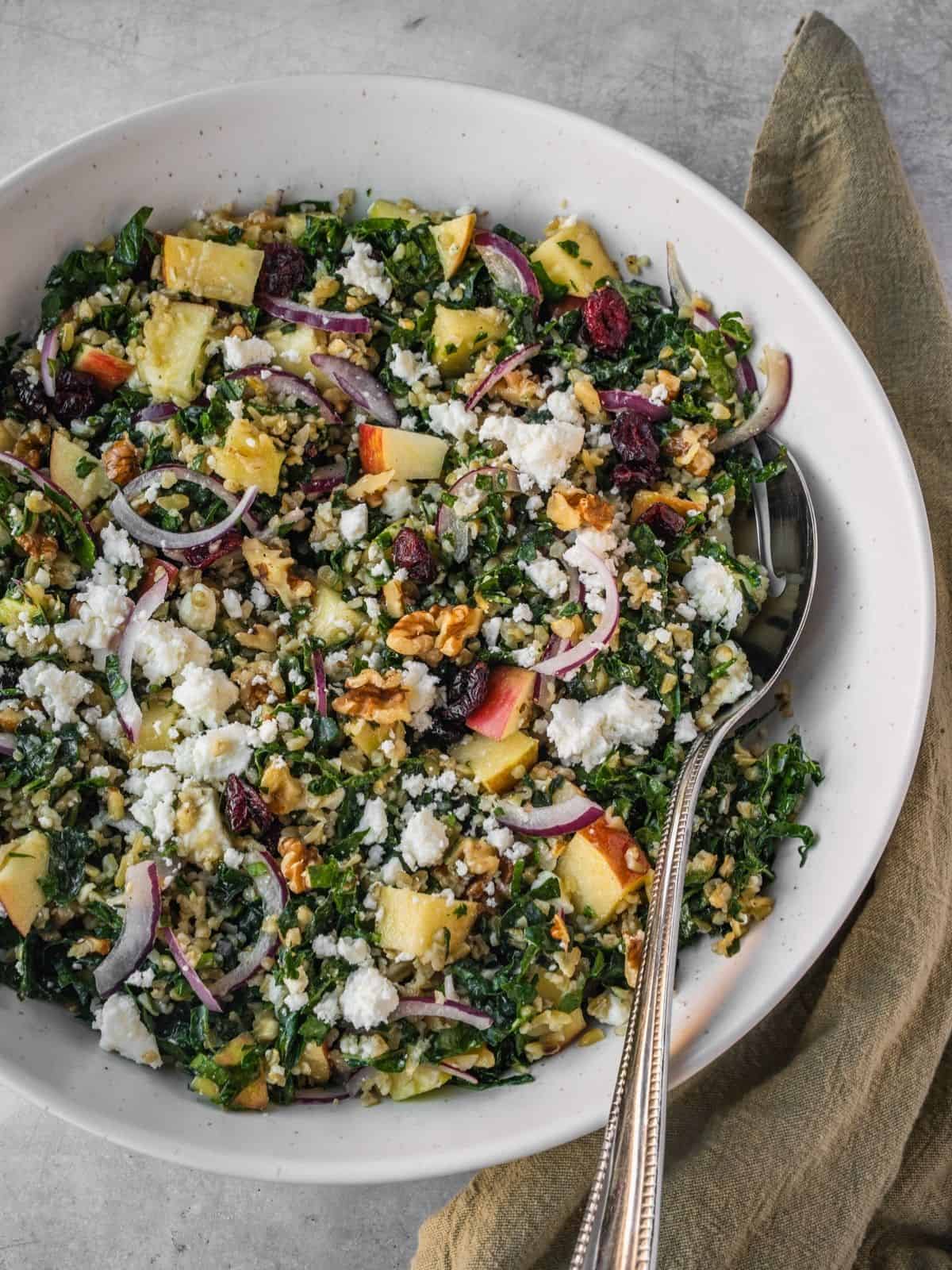 Bowl with apple, freekeh, kale salad garnished with feta, red onion, and cranberries.