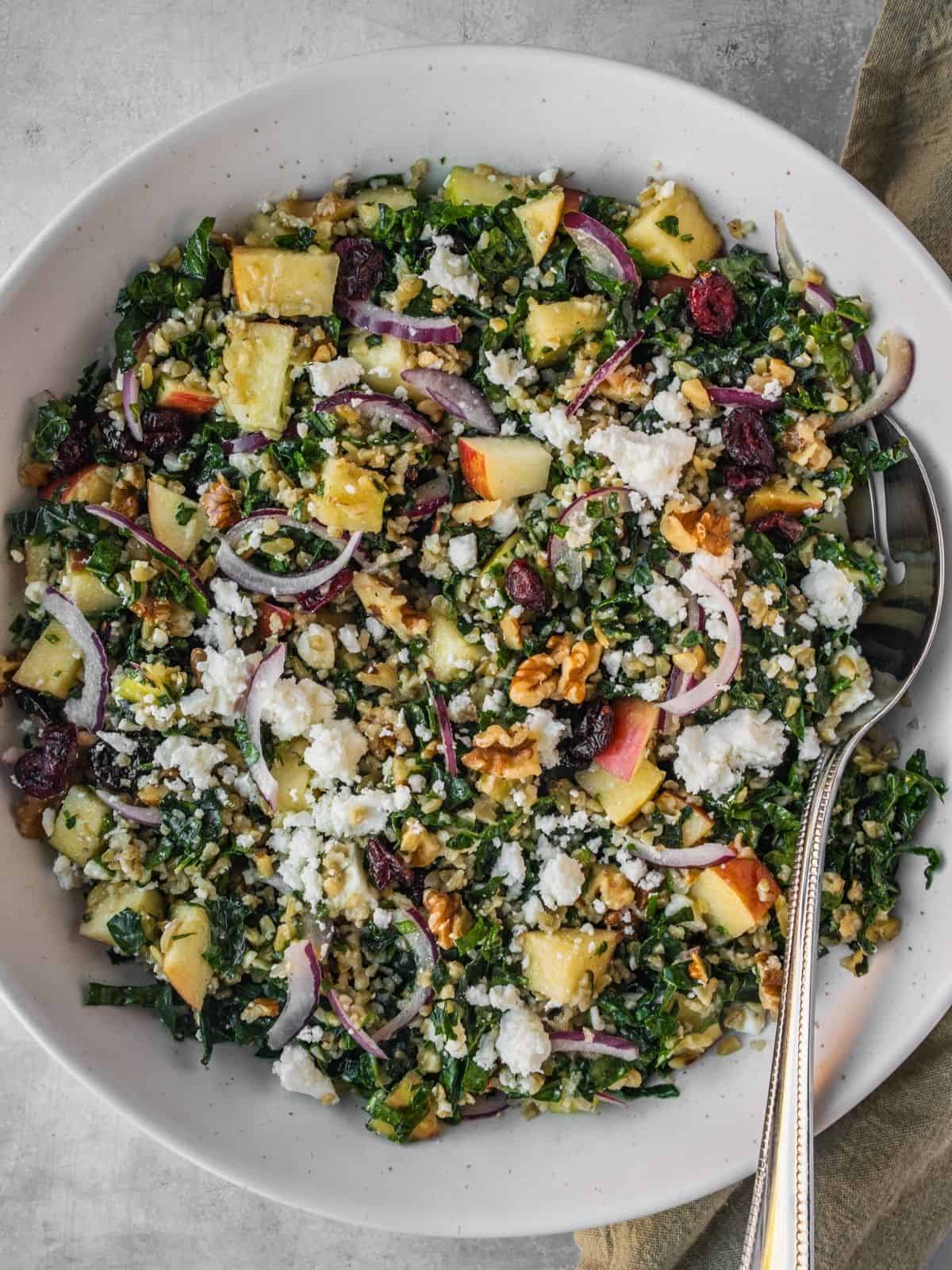 Bowl with apple, freekeh, kale salad garnished with feta, red onion, and cranberries.