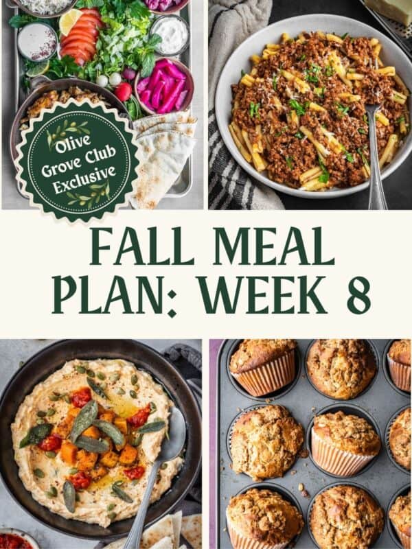 Collage of recipe images of chicken shawarma with toppings, bowl of Bolognese pasta, butternut squash dip and apple oatmeal muffins.