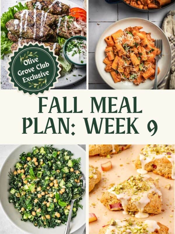 Collage of recipe images including chicken kafta kebabs on a plate, sausage tomato pasta in a bowl, kale chickpea salad and cranberry pistachio scones.