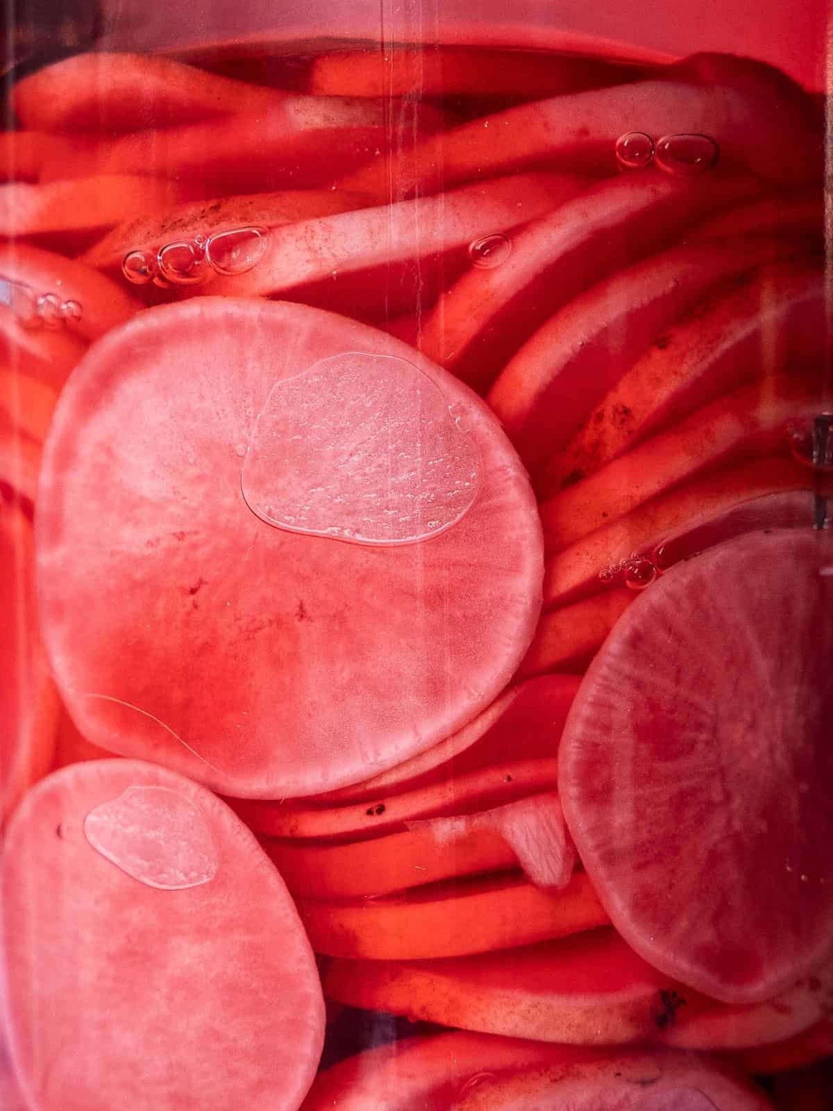Sliced radishes in a pickle jar.